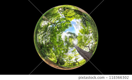 360-degree photo: The mysterious world of crystal balls: A light-filled walk through the forest in summer 118366302