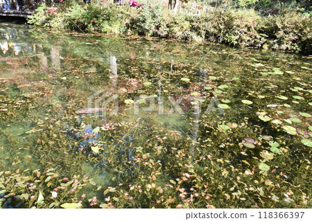 無名池塘(被稱為莫奈池塘) 無名池塘(被稱為莫奈池塘) 118366397