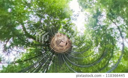 360-degree photo: The mysterious world of Little Planet - A walk through the bamboo forest 118366445