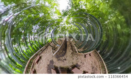 360-degree photo: The mysterious world of Little Planet - A walk through the bamboo forest 118366454