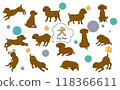 可愛的玩具貴賓犬姿勢插圖集 118366611