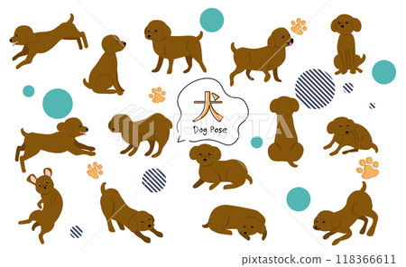 Cute toy poodle pose illustration set 118366611
