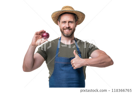man in apron and hat with onion vegetable isolated on white. thumb up man in apron and hat with onion vegetable isolated on white. thumb up 118366765