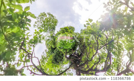 360-degree photo: The mysterious world of Little Planet: Hydrangea Garden 360-degree photo: The mysterious world of Little Planet: Hydrangea Garden 118366786