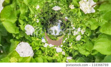 360-degree photo: The mysterious world of Little Planet: Hydrangea Garden 118366789