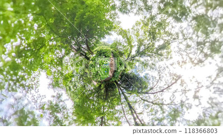 360-degree photo: The mysterious world of Little Planet: Hydrangea Garden 118366803