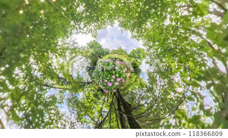 360-degree photo: The mysterious world of Little Planet: Hydrangea Garden 118366809