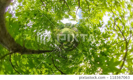 360° Photo: The Mysterious World of Little Planet - Green Planet 118367063