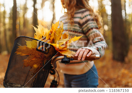 Autumn bouquet of yellow and orange leaves lying in a bicycle basket in a sunny autumn park. Autumn bouquet of yellow and orange leaves lying in a bicycle basket in a sunny autumn park. 118367150