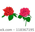 Red and pink roses illustration 118367195