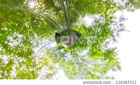 360-degree photo: The mysterious world of Little Planet - A walk through the bamboo forest 118367311