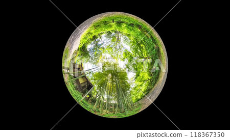 360度全景照片:水晶球的神秘世界、竹林步道 360度全景照片:水晶球的神秘世界、竹林步道 118367350