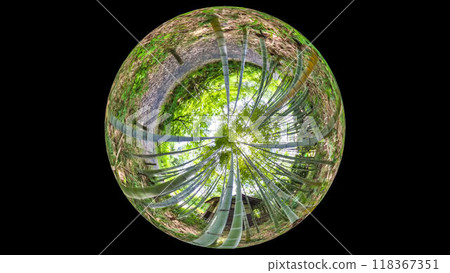 360度全景照片：水晶球的神秘世界、竹林步道 118367351