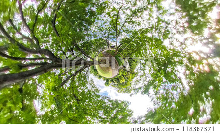 360度照片小星球的神秘世界 綠色星球 118367371