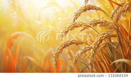 Sparkling rice ears illustration background material 118368334