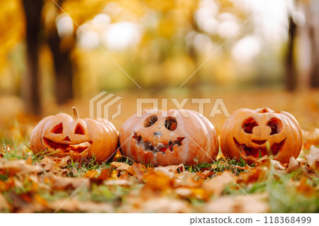 Halloween pumpkins on the autumn street. Holidays, decoration concept. 118368499