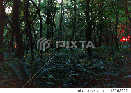 織目山姬膕（岩手縣） 118368532