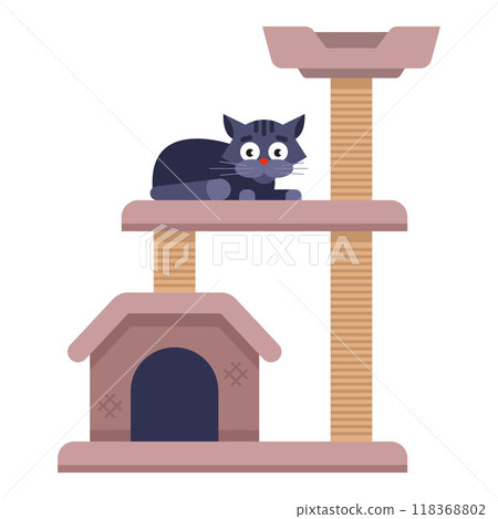 cat multi-storey house in the apartment. 118368802