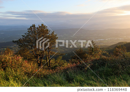 Sollube Peak, distant Sunset-Tinted Mountains Framed by Meadow and Trees. 118369448