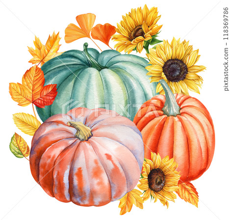 Autumn harmony pumpkins, leaves, sunflower flower, seasonal decor. Fall thanksgiving cozy pumpkins painted watercolor Autumn harmony pumpkins, leaves, sunflower flower, seasonal decor. Fall thanksgiving cozy pumpkins painted watercolor 118369786