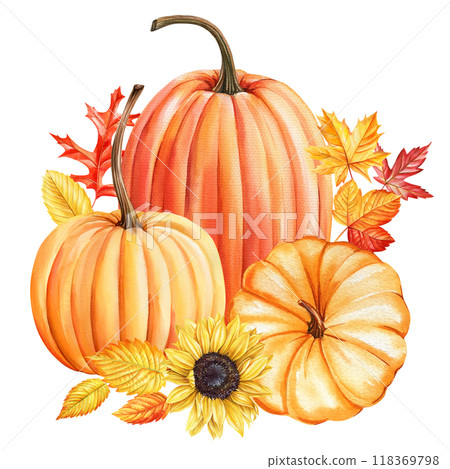 Autumn orange pumpkins, leaves, sunflower flower, seasonal decor. Fall thanksgiving cozy pumpkins painted watercolor Autumn orange pumpkins, leaves, sunflower flower, seasonal decor. Fall thanksgiving cozy pumpkins painted watercolor 118369798