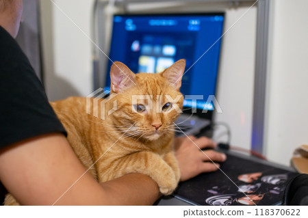 A man is gently holding a domestic cat while using his laptop computer 118370622