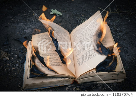 The photo shows a brightly burning book, The photo shows a brightly burning book, 118370764