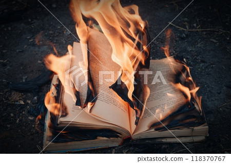 The photo shows a brightly burning book, The photo shows a brightly burning book, 118370767