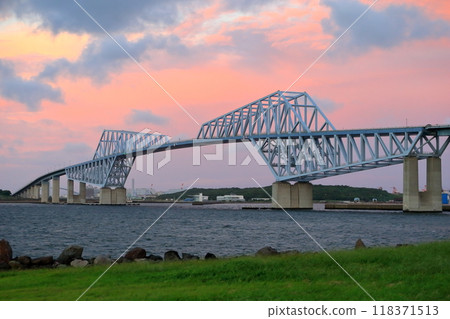 Tokyo Gate Bridge 118371513