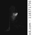 Girl in the dark, scary silhouettes of face and hand, Girl with long beautiful hair, theme book character, hand on shoulder	 118371756