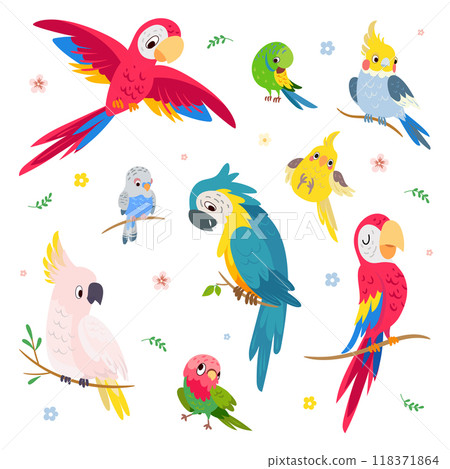 Cartoon parrots. Tropical parrot, exotic birds vibrant funny characters. Flying and sitting animals, cockatoo on branch. Cute childish mascots nowaday vector set Cartoon parrots. Tropical parrot, exotic birds vibrant funny characters. Flying and sitting animals, cockatoo on branch. Cute childish mascots nowaday vector set 118371864