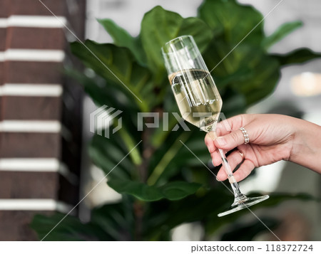 Elegant celebration with sparkling wine glass against lush greenery backdrop Elegant celebration with sparkling wine glass against lush greenery backdrop 118372724