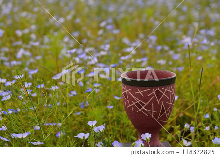 Surrounded by small flowers Surrounded by small flowers 118372825