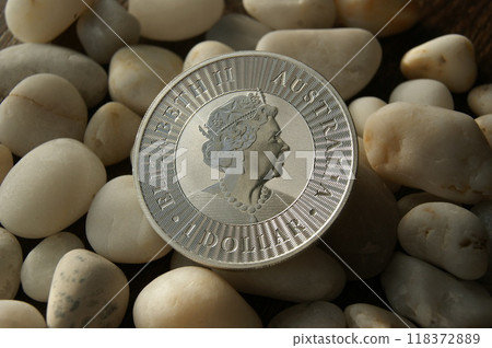 1 Dollar Elizabeth II Australian Kangaroo Investment coin silver coin. 118372889