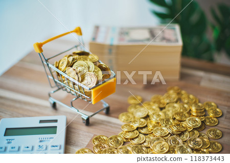 Gold coins and bills Money management Gold coins and bills Money management 118373443