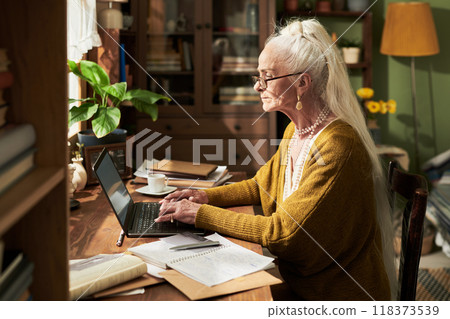 Elderly Woman Working on Laptop in Cozy Home Office Elderly Woman Working on Laptop in Cozy Home Office 118373539