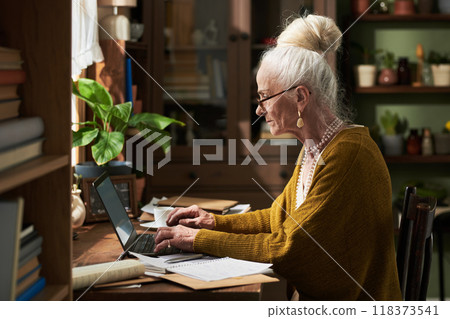 Elderly Woman Typing on Laptop at Home, Surrounded by Plants Elderly Woman Typing on Laptop at Home, Surrounded by Plants 118373541