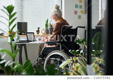 Senior Woman Working from Home in Wheelchair Senior Woman Working from Home in Wheelchair 118373762