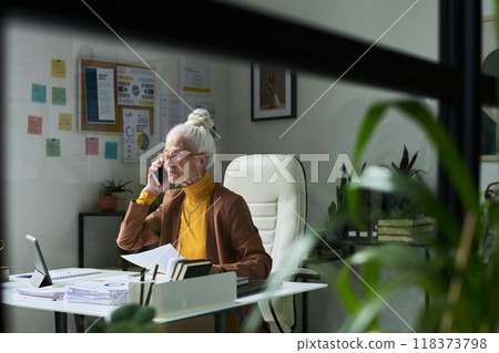 Portrait of Elderly Woman Using Phone in Home Office Setting Portrait of Elderly Woman Using Phone in Home Office Setting 118373798