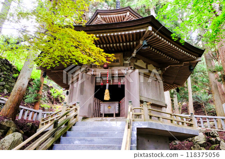 Maple and Benzaiten Hoanden 118375056