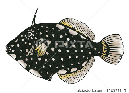 A paper cut-out illustration of a delicious white fish called ahasu 118375145