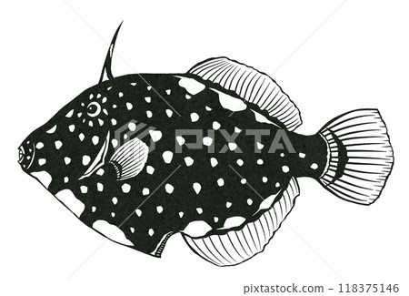 Simple black and white paper cut illustration of polka dot fish, Hatakemus nigricans 118375146