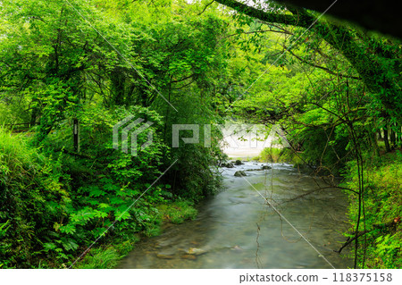 A mountain stream in Aya Town, Miyazaki Prefecture 118375158
