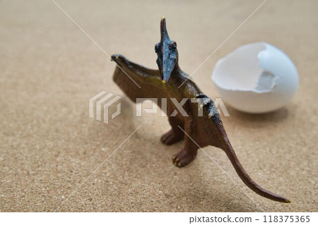 無齒翼龍從殼中出來 118375365