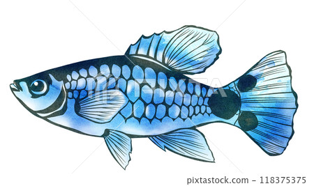 Blue Mickey Mouse Platy Cutout Illustration 118375375