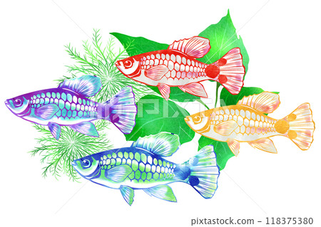 A cute and fertile Mickey Mouse Platy cutout illustration A cute and fertile Mickey Mouse Platy cutout illustration 118375380