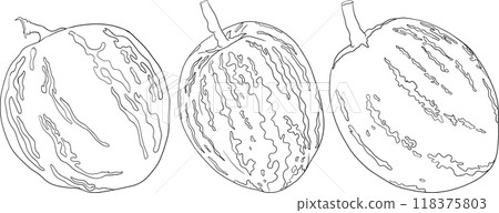 Pepino fruit, melon pear, Solanum muricatum.  118375803