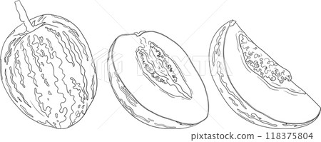 Pepino fruit, melon pear, Solanum muricatum. Pepino fruit, melon pear, Solanum muricatum. 118375804