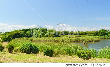 [Edogawa Ward, Tokyo] Kasai Rinkai Park: Aquarium and Ferris wheel as seen from the upper pond 118376048
