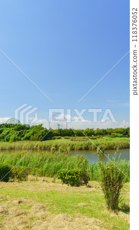 [東京都江戶川區] 從葛西臨海公園/神池可以看到水族館和摩天輪 118376052